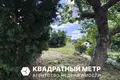 Дом  Беларучский сельский Совет, Беларусь