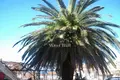 Commercial property 604 m² in Susanj, Montenegro