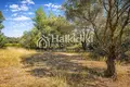 Parcelas 15 000 m² Nikiti, Grecia