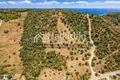 Land 10 000 m² Ammouliane, Greece