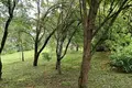 Działki  Piarsajski sielski Saviet, Białoruś