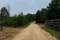Grundstück  Svabski sielski Saviet, Belarus
