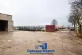 Magazyn 1 246 m² Stare Sioło, Białoruś