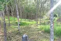 Земельные участки  Чонг Тале, Таиланд