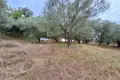 Земельные участки 1 комната  Ватос, Греция