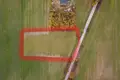 Land 3 788 m² Niepruszewo, Poland