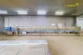 Manufacture 468 m² in Mikhanavichy, Belarus