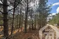 Земельные участки  Пригородный сельский Совет, Беларусь