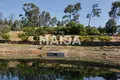 Ресторан, кафе 2 000 м² Ferreira do Zezere, Португалия