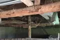 Haus 80 m² Smin, Bulgarien