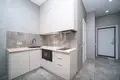 1 room apartment 26 m² Minsk, Belarus