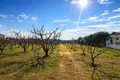 Atterrir 5 400 m² Nea Triglia, Grèce