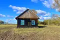 House 55 m² Dzivin, Belarus