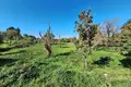 Land 1 room  Municipality of Northern Corfu, Greece