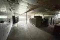 Shop 911 m² in Nochowo, Poland