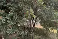 1 room apartment 28 m² Hrodna, Belarus