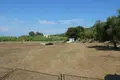 Земельные участки 1 комната  Ахарави, Греция