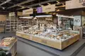 Tienda 1 595 m² en Cataluña, Španjolska