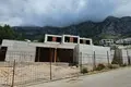 Dom 3 pokoi 230 m² Radenovici, Czarnogóra