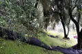 Działki 1 pokój  Psachnia, Grecja
