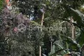 1 bedroom Villa  Tumbak Bayuh, Indonesia