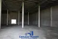 Warehouse 13 700 m² in Niemanicki sielski Saviet, Belarus