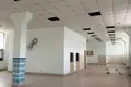 Commercial property 4 000 m² in Deliatyn, Ukraine