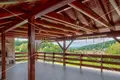 7 room house 250 m² Pustodol, Croatia