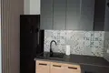 Apartamento 1 habitación 35 m² en Mierzynek, Polonia