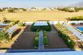 Manoir 4 chambres 220 m² Agios Epiktitos, Chypre du Nord