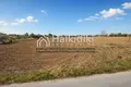 Parcelas 10 000 m² Nea Kallikrateia, Grecia