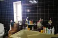 Chalet 382 m² Ciuchinicy, Bélarus
