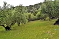 Land 1 room  Agios Stefanos, Greece