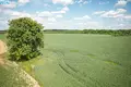 Działki  Rasznowo, Litwa