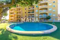 Apartment  Torrevieja, Spain