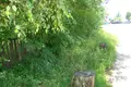 Дом 99 м² Несвиж, Беларусь