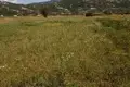 Земельные участки  Grahovo, Черногория