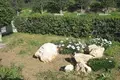 5 bedroom house 420 m² Lakatameia, Cyprus