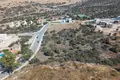 Restaurant  in Kouklia, Cyprus