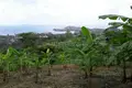 Parcelas  Wichit, Tailandia