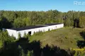 Commercial 1 174 m² in Stankovskiy selskiy Sovet, Belarus