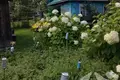 House 81 m² Palacany, Belarus