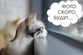 2 room apartment 56 m² Salihorsk, Belarus
