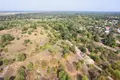 Land 1 room 3 902 m² Otwock, Poland