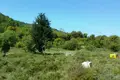 Działki 1 pokój 9 375 m² Pelekas, Grecja