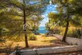 Parcelas 15 000 m² Nikiti, Grecia