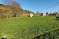 Atterrir  Hajnienski sielski Saviet, Bélarus