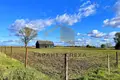 House 55 m² Dzivin, Belarus