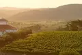 Комплекс вилл Quinta de Santo António