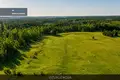 Atterrir  Aleksandravele, Lituanie